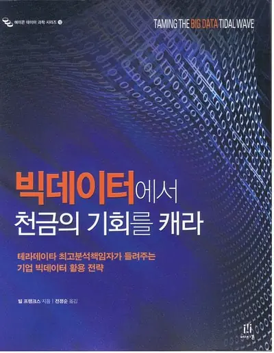 Book cover titled "Taming the Big Data Tidal Wave," featuring abstract digital patterns, emphasizing strategies for corporate big data utilization.
